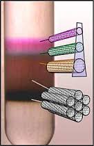 carbon-nanotubes-density-gradient